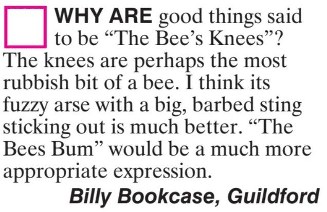 BeesKnees.jpg