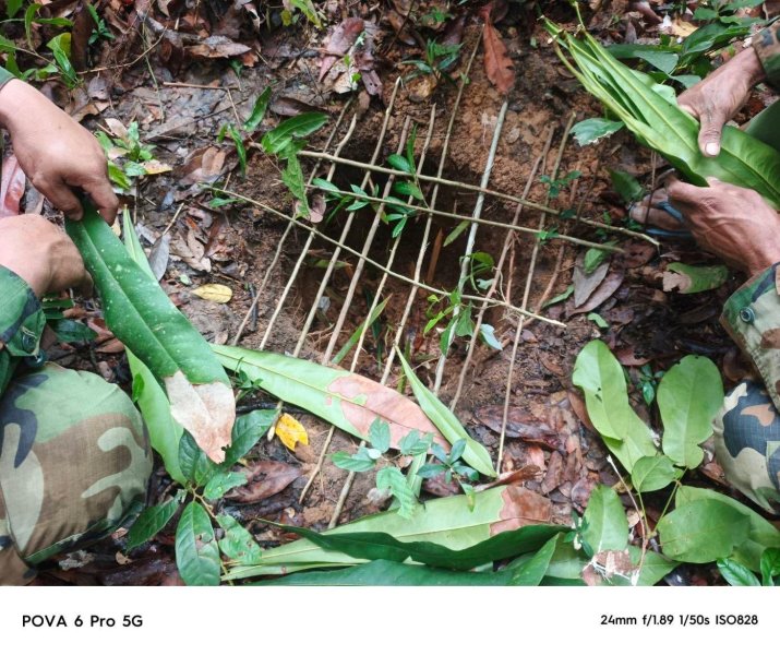 Cambodina-spike-trap.jpg
