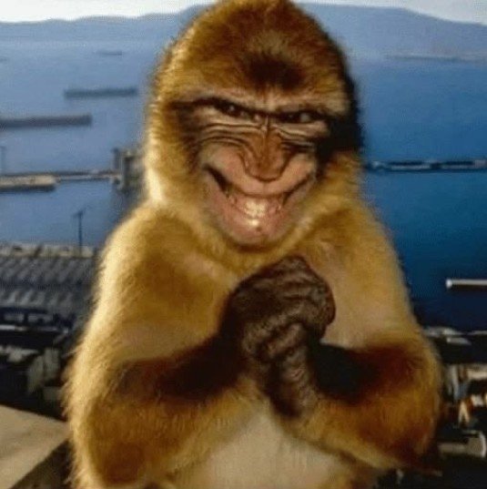 Evil monkey.jpg