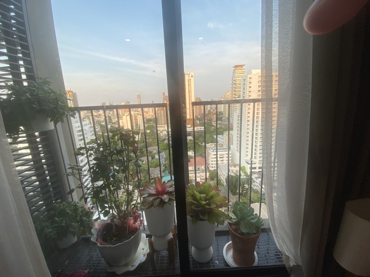 IMG_3720.jpeg