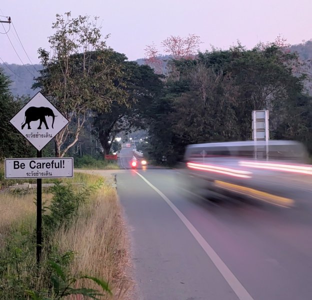 Kancha_005.jpg