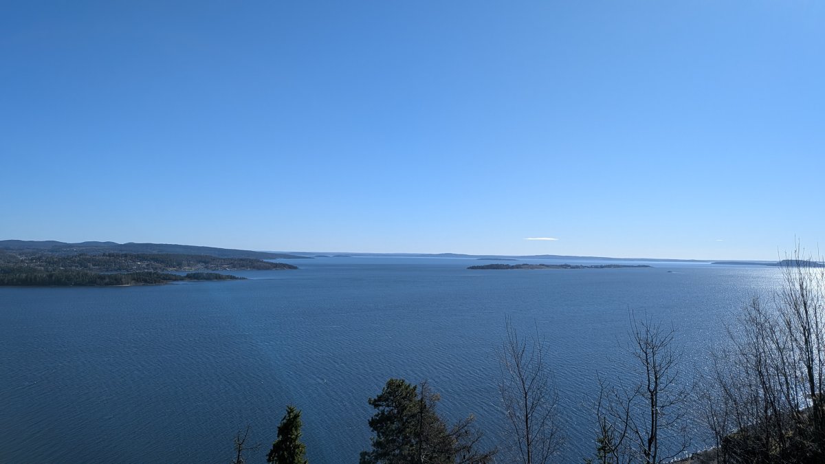 PXL_20260407_085325727.MP.jpg