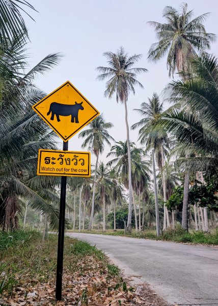 PrachuapKK_002.jpg