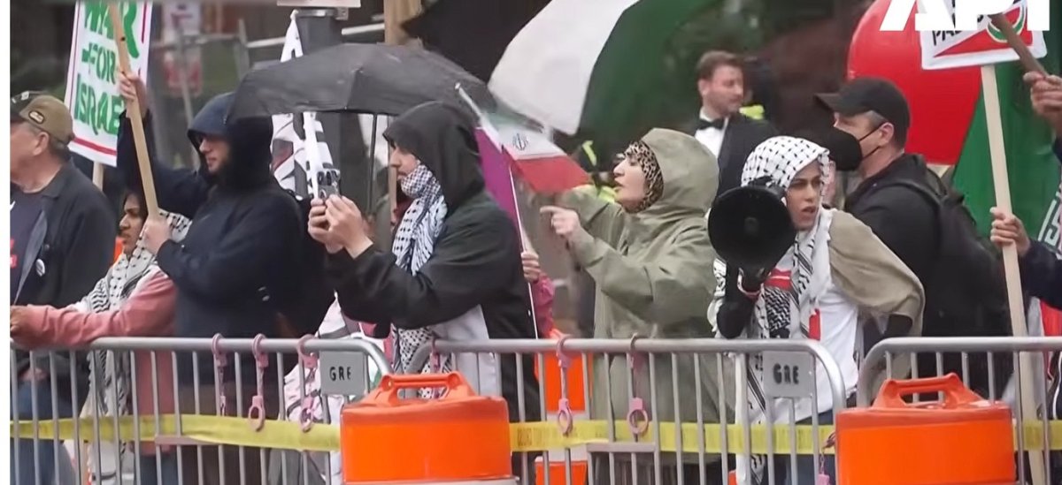 Protestor .jpg
