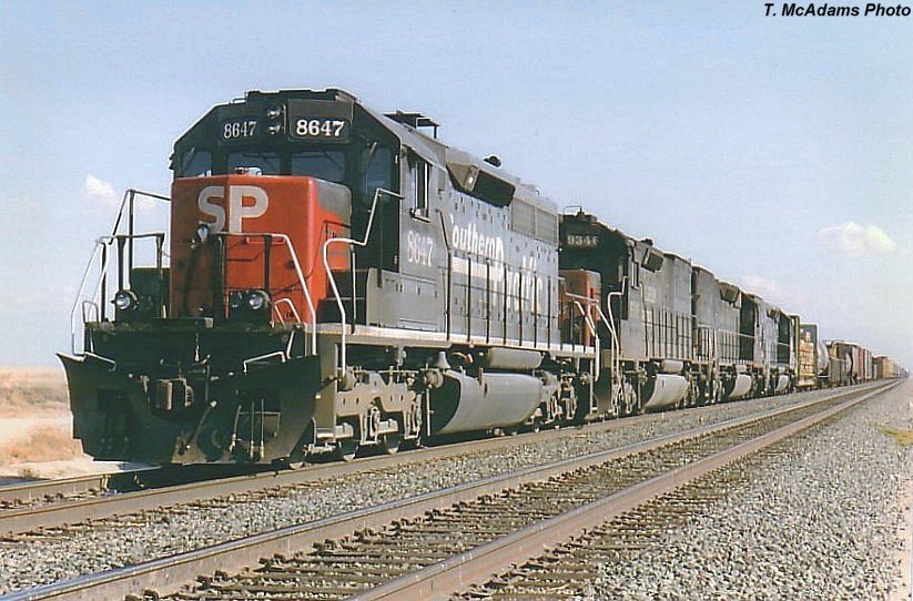 SP_8647-.jpg