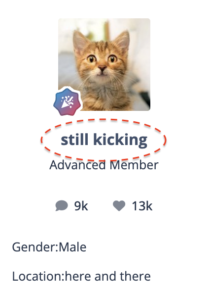 Screenshot 2026-04-29 at 19.18.41.png