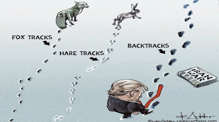 backtracks.jpg