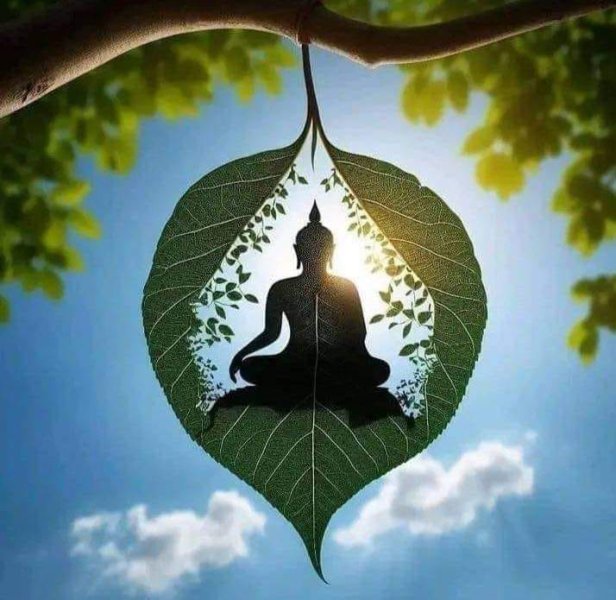 buddha.jpg