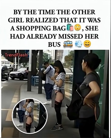 bus.jpg