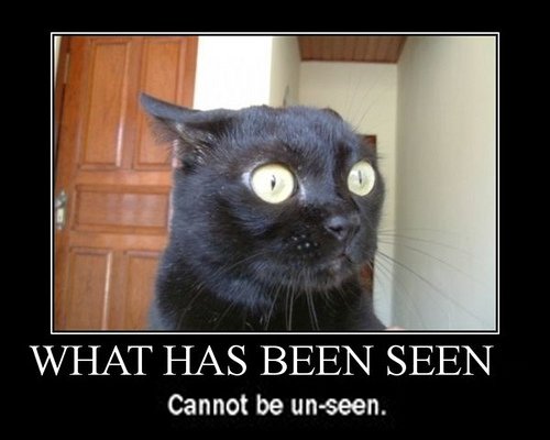 can't be unseen.jpg