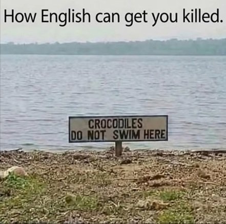 crocs.jpg