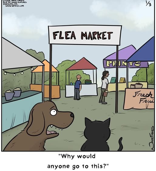 f.jpg