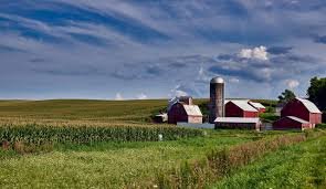 farm.jpg