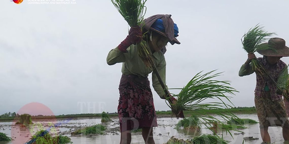 fertiliser-204261906-feat-1140x570.jpg