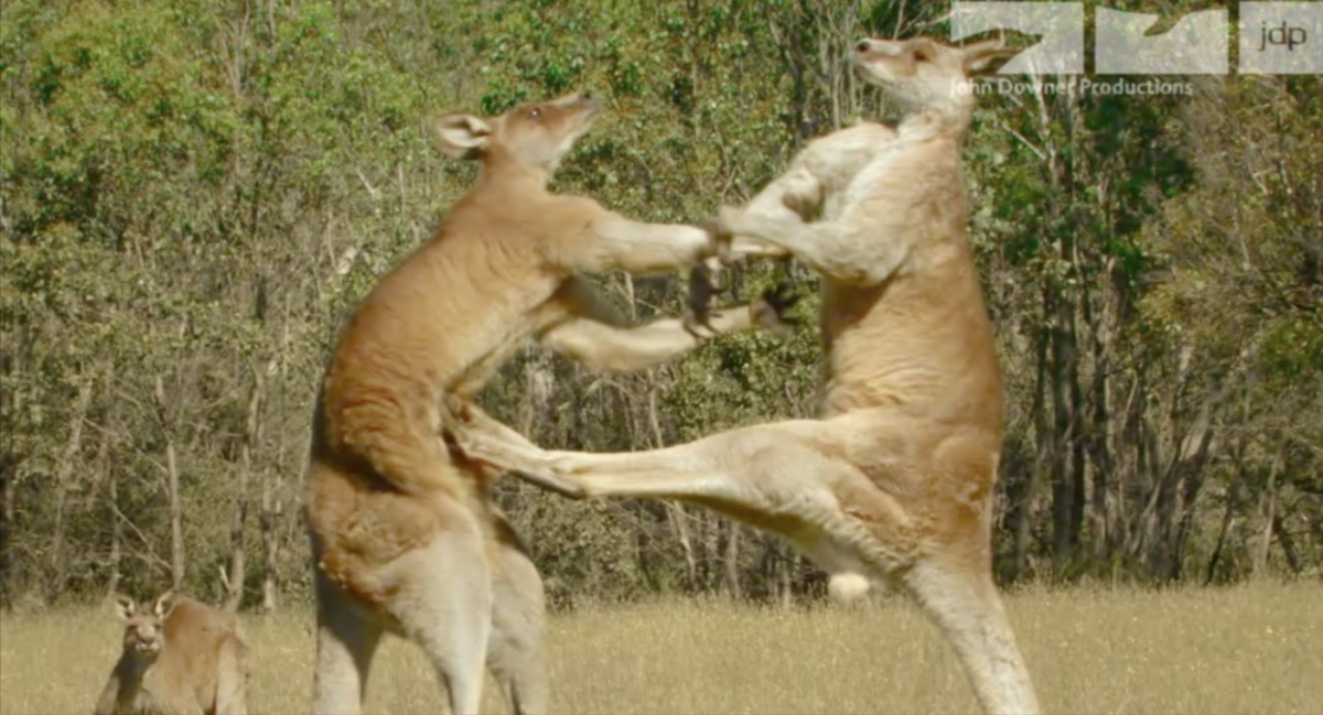 Aussie-Monopoly on Irony: How many times have we been told?