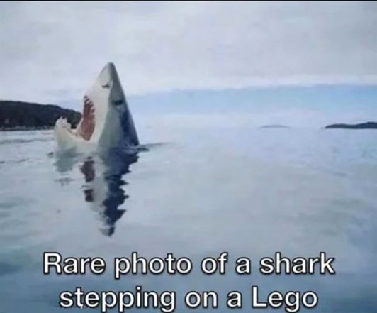 lego.jpg