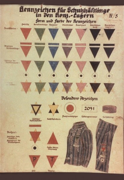 naziclassificationchart.jpg