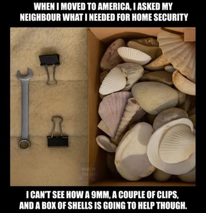 shells.jpg