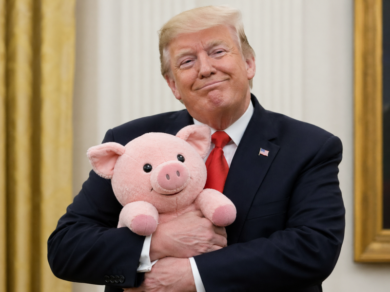 tumpwithstuffed.png