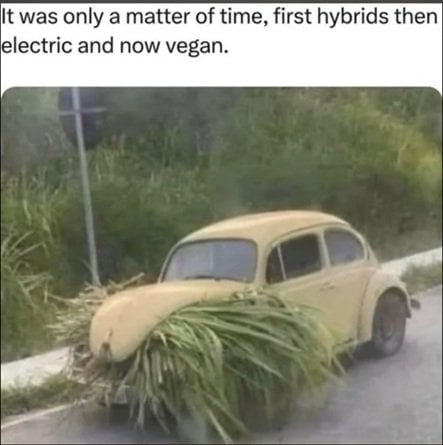 vegan.jpg