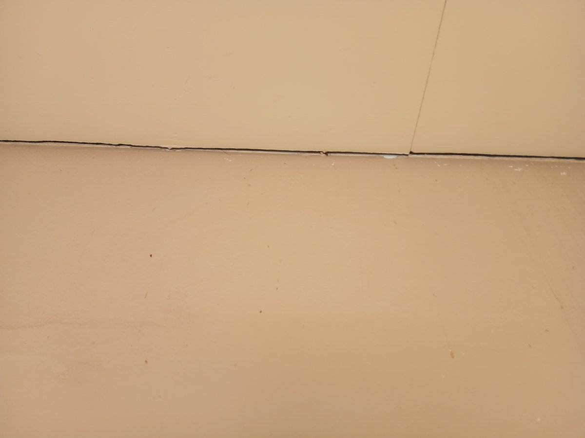 20260523_090021.jpg