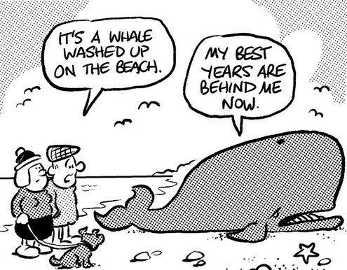 BeachedWhale.jpg