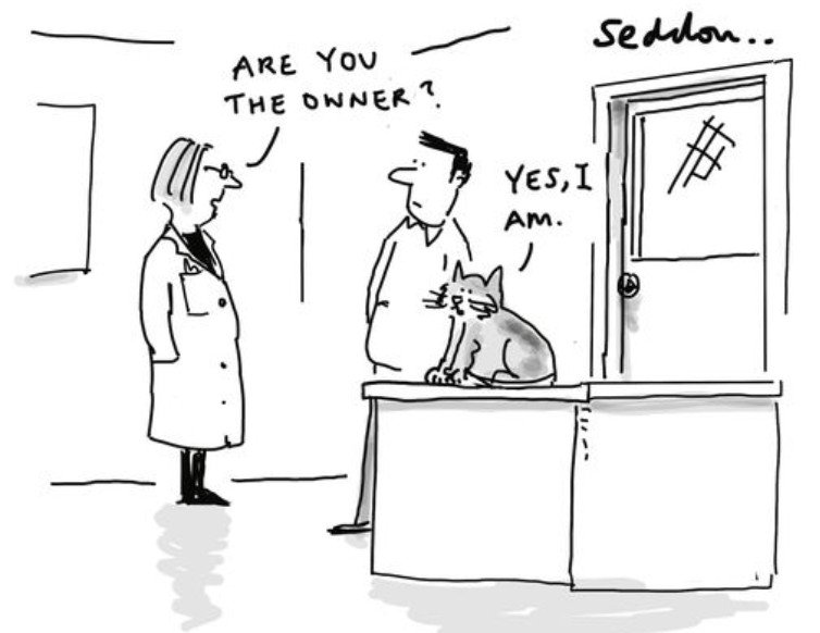 CatOwner.jpg