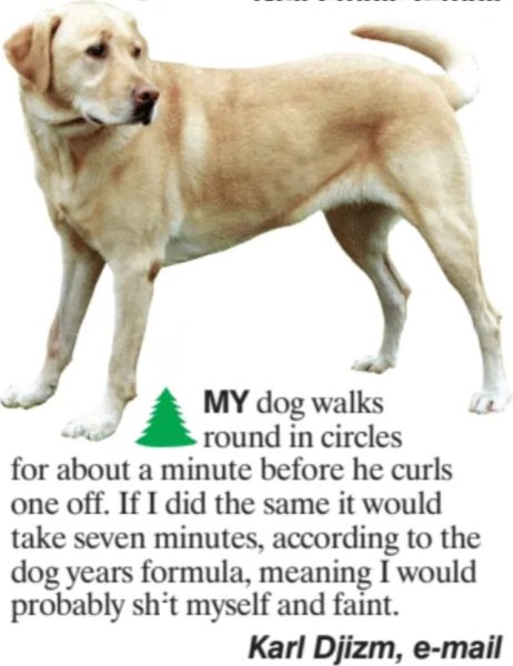 DogCircles.jpg