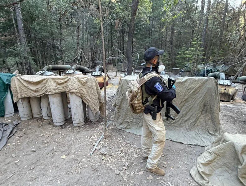Drug Camp.jpg