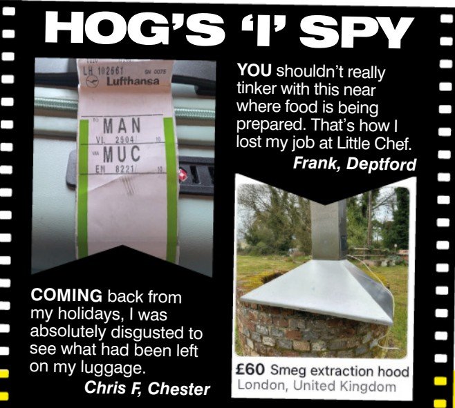 HogsISpy202606.jpg