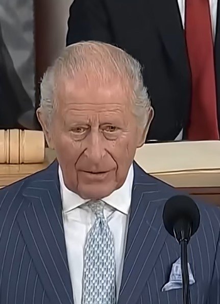 King Charles Speech picture.jpg