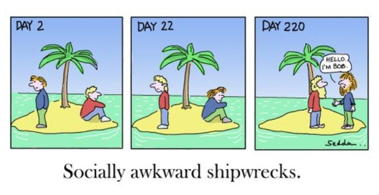 SociallyAwkwardShipwrecks.jpg