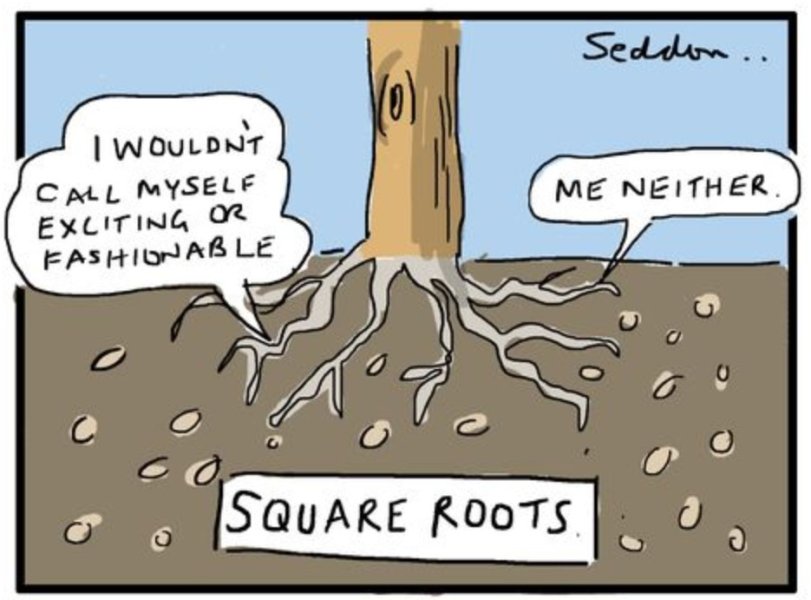 SquareRoots.jpg