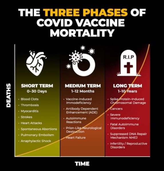 The 3 Stages of Covid Vaccine mortality.jpg