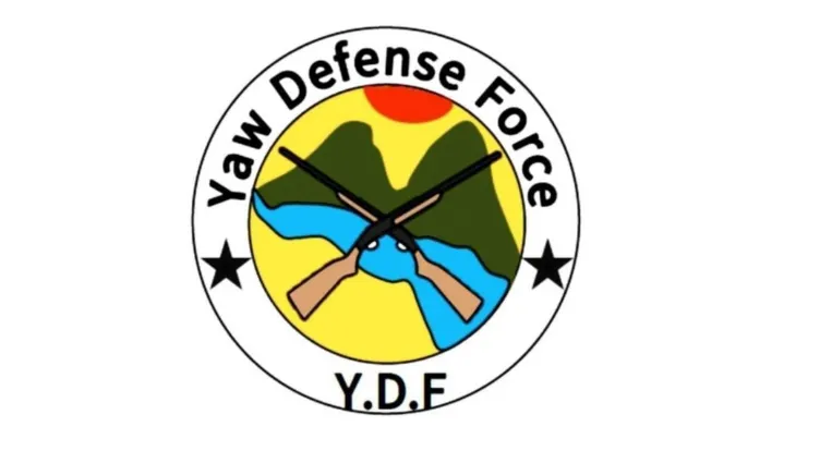 YDF.webp