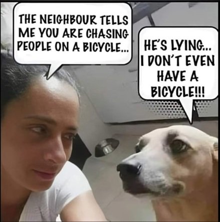 bike.jpg