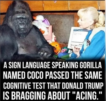 coco.jpg