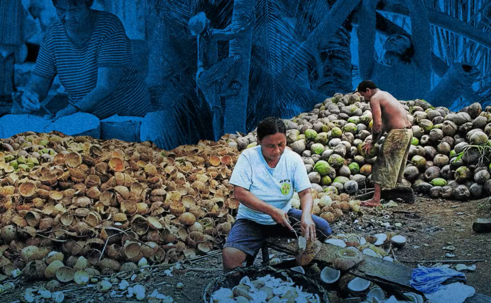 coconut-industry-compositeimage-28may2026.jpg