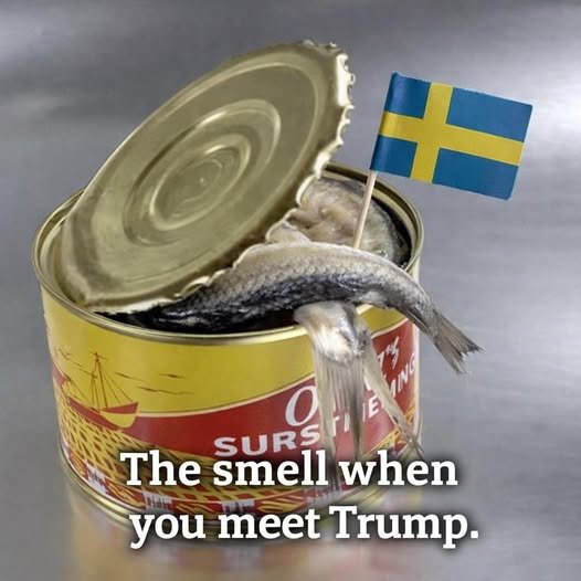 fish.jpg
