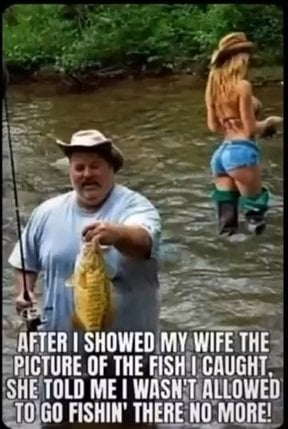fish.jpg
