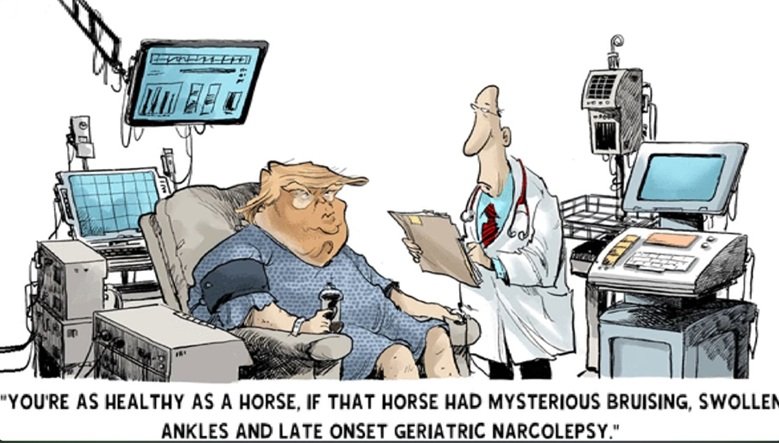 horse.jpg