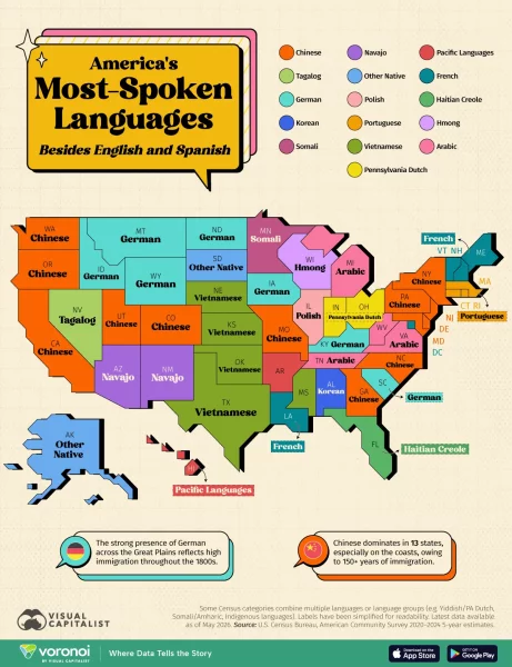 mostspokenlanguages-web.webp