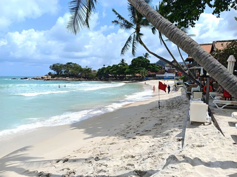 paradise 2026.jpg