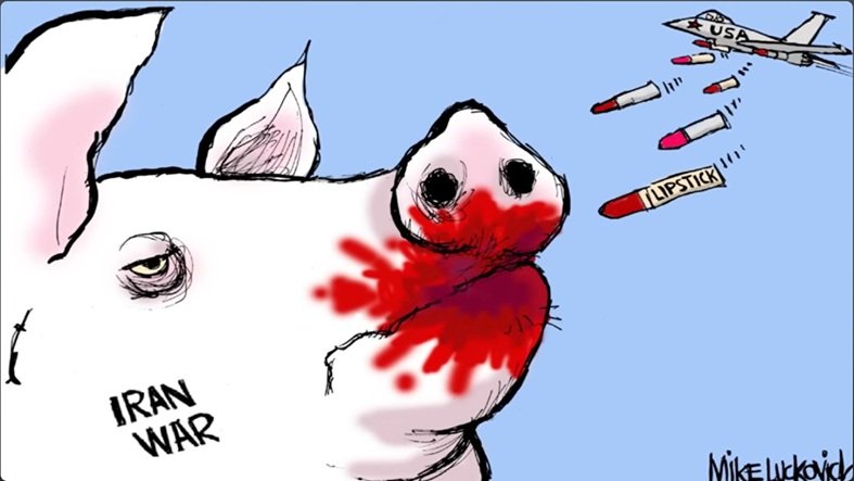 pig.jpg