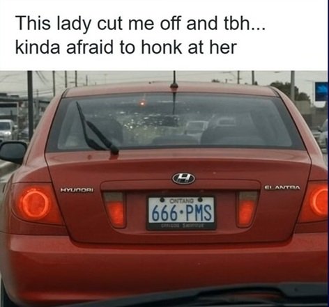 pms.jpg