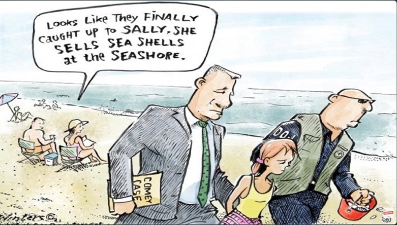 seashells.jpg
