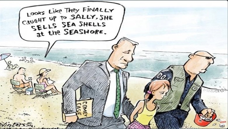 seashells.jpg.8bc66c8dab49681bcb18ad9e50929902.jpg