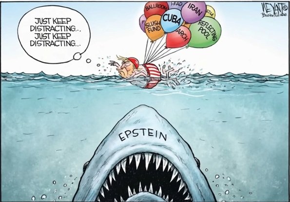 shark.jpg