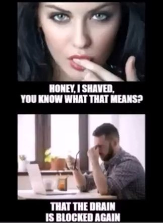shaved.jpg