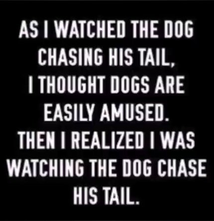 tail.jpg
